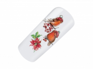 Winter Bird Waterdecal