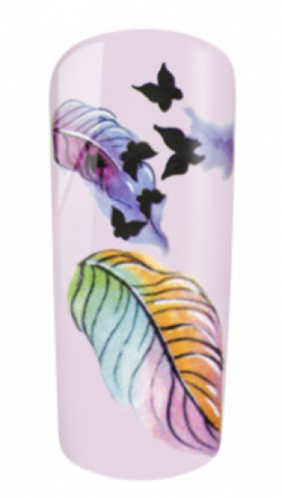 Water Decal Butterfly