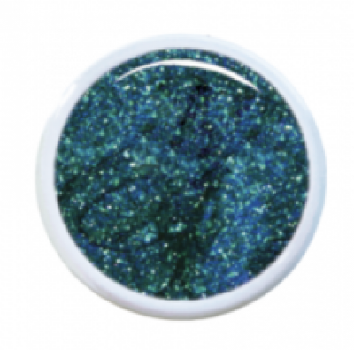 Dragonfly Glitter Holo Q Diamond Color gel